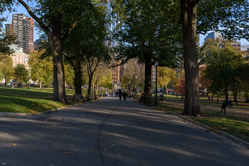 Boston Common in Boston, Massachusetts, 12 November 2016.