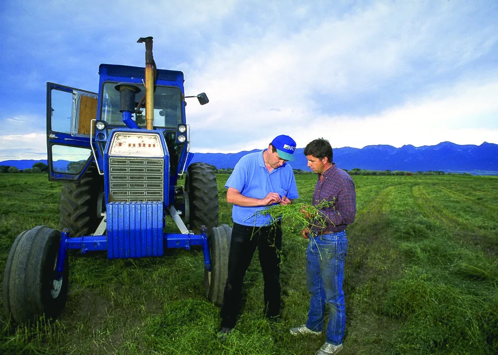 NRCS conservationist Herb Webb and cattle producer Joel Clairmont discuss alfalfa on a Montana ranch producing commercial beef cattle.