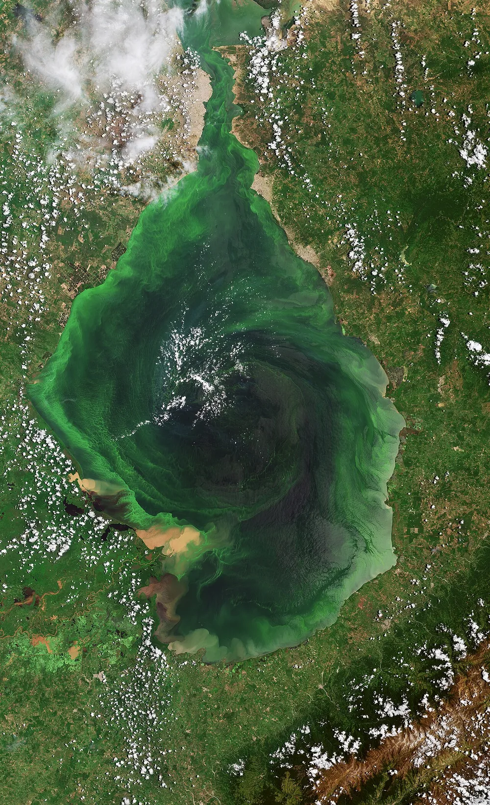 Lake Maracaibo in Venezuela, a major oil-producing basin, imaged by Copernicus Sentinel-2, August 2023.