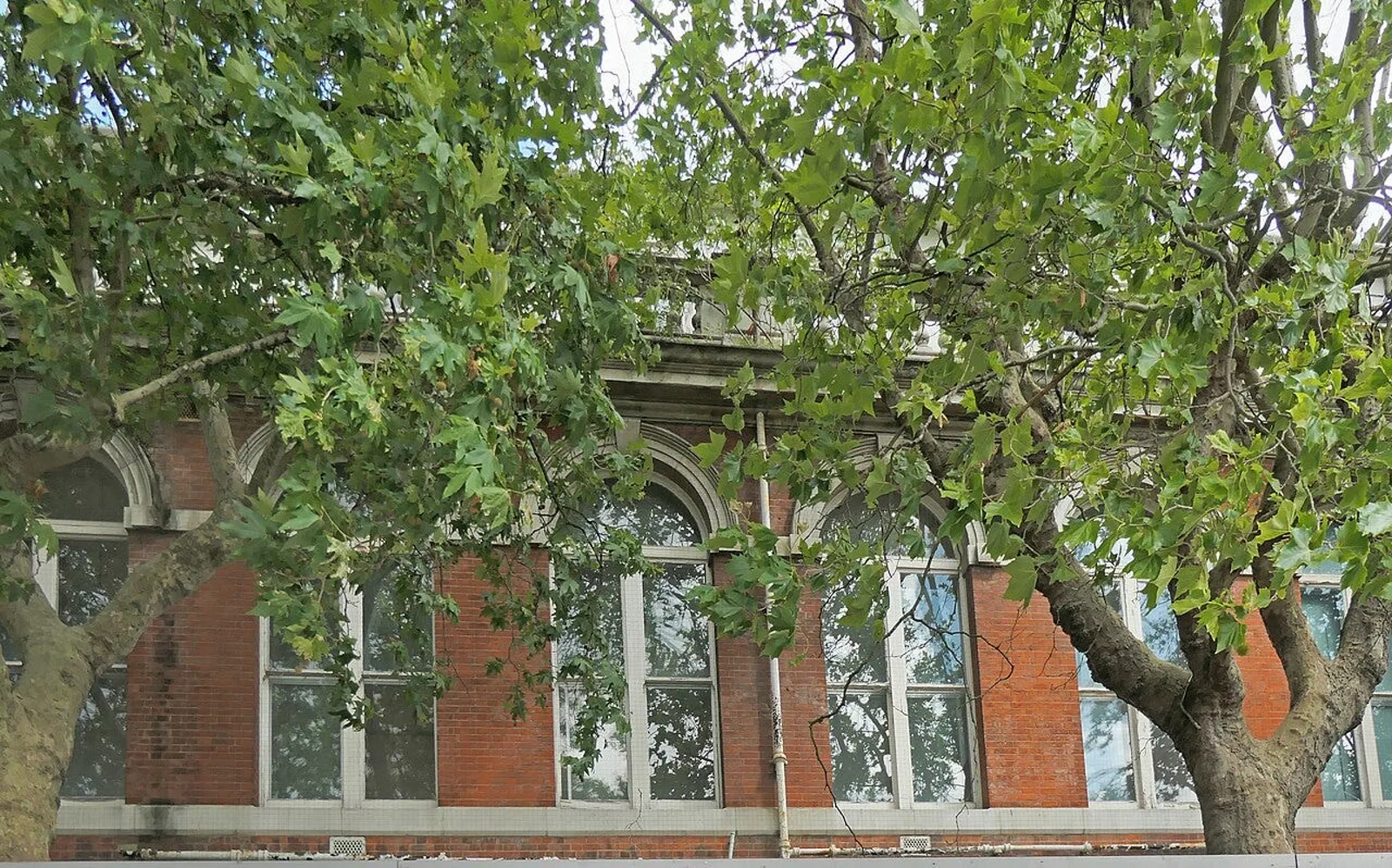St Thomas' Hospital on the south bank of the Thames in London, an NHS hospital. Photo: Wikimedia Commons.