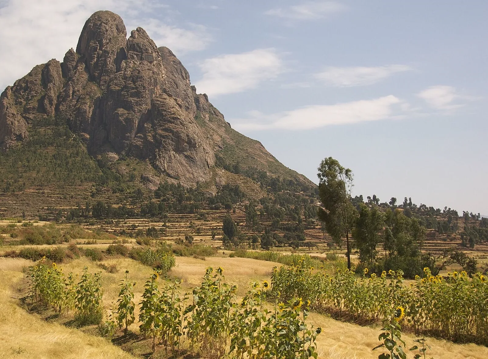 Agricultural landscape in Ethiopia's Tigray Region. Photo: Wikimedia Commons, CC BY.